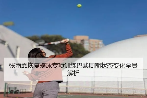 张雨霏恢复蝶泳专项训练巴黎周期状态变化全景解析（yaxin）